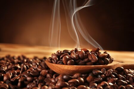 arabica coffee beans